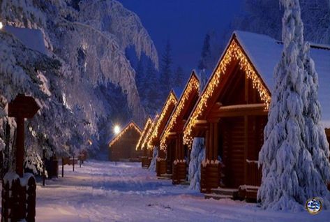 Cabins in the beautiful #Pertouli village, #Trikala #Greece #christmas www.ploosdesign.com Christmas In Greece, Places In Greece, Winter Scenery, Log Cabins, Most Beautiful Cities, Beautiful Places In The World, Window Seat, Greece Travel, Winter Scenes