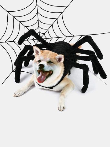 I found this amazing Pet Halloween Funny Spider Chest Back Creative Cat Dog Small Dog Transformation Costume with 13.99J.D.,and 14 days return or refund guarantee protect to us. --Newchic Cats Skull, Kitten Outfits, Spider Halloween Costume, Dog Spider Costume, Spider Skeleton, Spider Dog, Animal Cosplay, Spiders Funny, Spider Costume