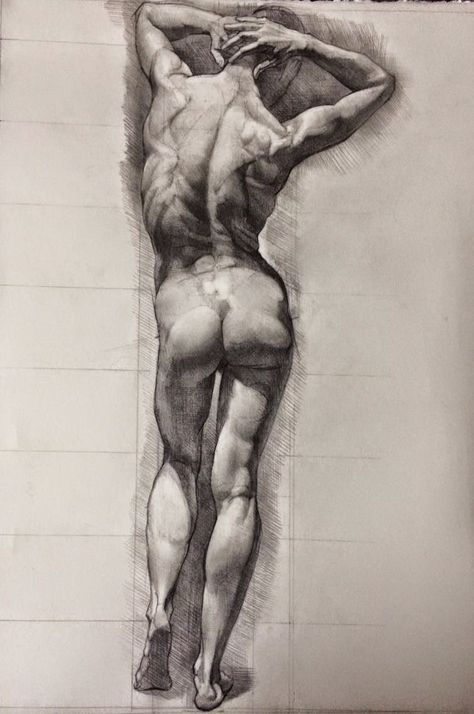 Sabin  Howard  Tutt'Art   () Sabin Howard, Academic Drawing, Human Anatomy Drawing, Master Drawing, Human Figure Drawing, Human Anatomy Art, Anatomy Sketches, Anatomy For Artists, Figure Sketching