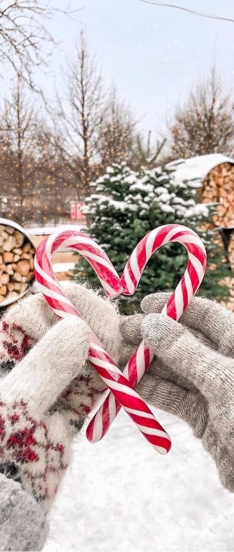 Candy Cane Phone Wallpaper, Candy Cane Iphone Wallpaper, Candy Cane Heart Wallpaper, Candy Cane Wallpaper Iphone, Christmas Wallpaper Candy Cane, Candy Canes Aesthetic, Xmas Aesthetic Wallpaper, Candy Cane Aesthetic, Candy Cane Wallpaper