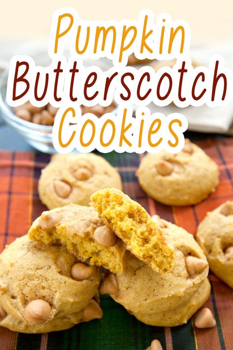 Pumpkin Butterscotch Cookies, Cookies Butterscotch, Butterscotch Pumpkin, Nutella Cookies Recipe, Pumpkin Butterscotch, Butterscotch Cookies, Pumpkin Cookie Recipe, Pumpkin Dishes, Pumpkin Cookie