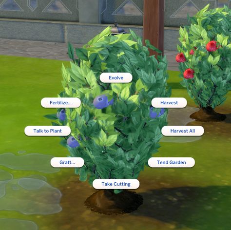 Adds a custom harvestable Blueberry plant to the game Sims 4 Kitchen, Blueberry Plant, Cc Sims4, Sims 4 Studio, Sims 4 House Building, Sims Ideas, Sims 4 Dresses, Sims 4 Characters, Sims Four