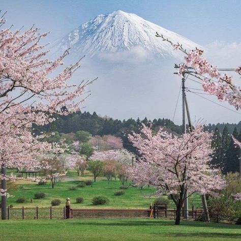 Japan Aesthetic Scenery, Japan Spring Aesthetic, Japan Aesthetic Mountain, Japan Spring Aesthetic Wallpaper, Japan In Spring Aesthetic, Rural Japan Aesthetic, Cottagecore Garden, Dark Forest Aesthetic, Japan Country