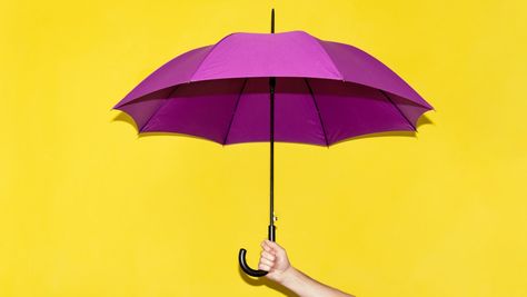 You might think your home and auto insurance offer more than enough coverage, but if you’re wrong, one very bad day could wipe out your wealth. That’s what an umbrella policy is designed to prevent. Hand Holding Umbrella, Purple Umbrella, Holding Umbrella, Umbrella Insurance, Student Resume Template, Business Pictures, College Planning, Hand Holding, Auto Insurance