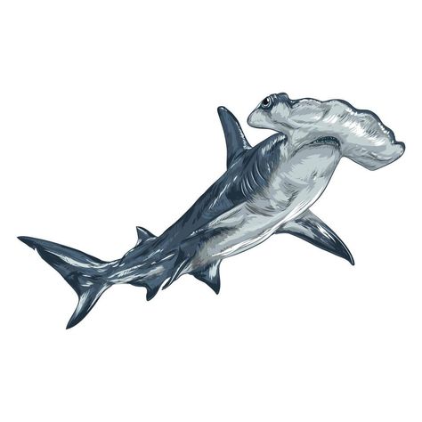 Great Hammerhead Shark Drawing, Shark Tattoo Watercolor, Hammerhead Shark Painting Acrylic, Hammer Head Shark Drawings, Hammerhead Drawing, Hammerhead Shark Art, Hammerhead Tattoo, Hammer Shark, Ecology Art