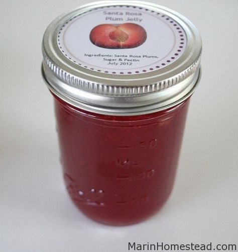 Homemade Jams, Plum Recipes, Plum Jam, Jelly Recipes, Homemade Jam, Jams & Jellies, Jam Recipes, Canning Recipes, Food Preparation