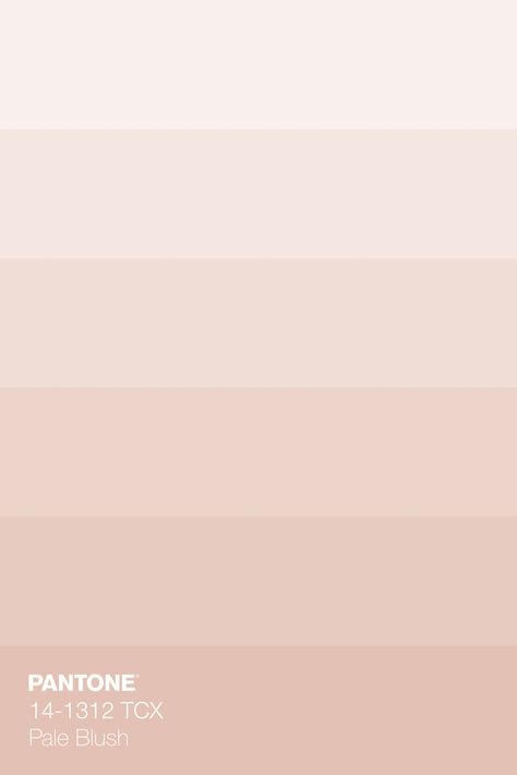 Blush Pink isn't a color you merely see. It's an echo, a whispered suggestion that evokes both fleeting moments and legacy. · PANTONE 14-1312 TCX Pale Blush Color Tint ·  #Art #Beauty #Blush #BlushPink #Color #ColorStory #ColorStory #Contrast #Coral #Delicate #Design #Fashion #Light #Pantone #Pastel #Peach #Pink #Rose #Seashell #Soft #White Peachy White Paint, Snug Ideas, Cat Bakery, Peach Bedroom, Pink Homescreen, News Stand, Pantone Colours, Hijab Colors, Peach Walls