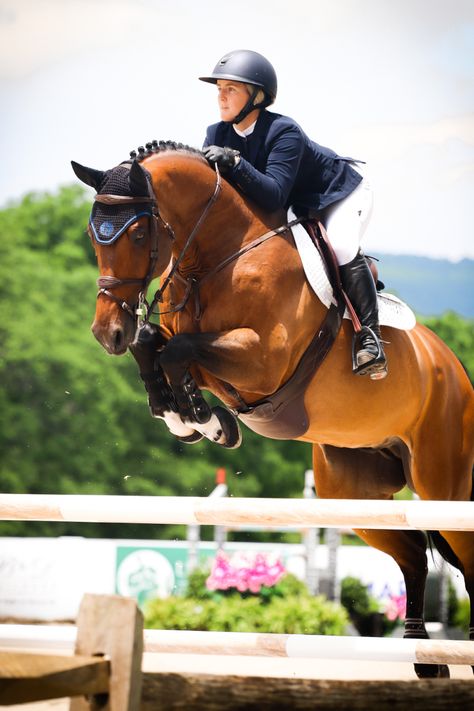 Showjumping Aesthetic, Horse Riding Outfit Women, Horse Photoshoot Ideas, Hunter Jumper Horses, Jumping Horses, Animal Photoshoot, Horse Riding Outfit, Show Jumping Horses, Horse Chestnut