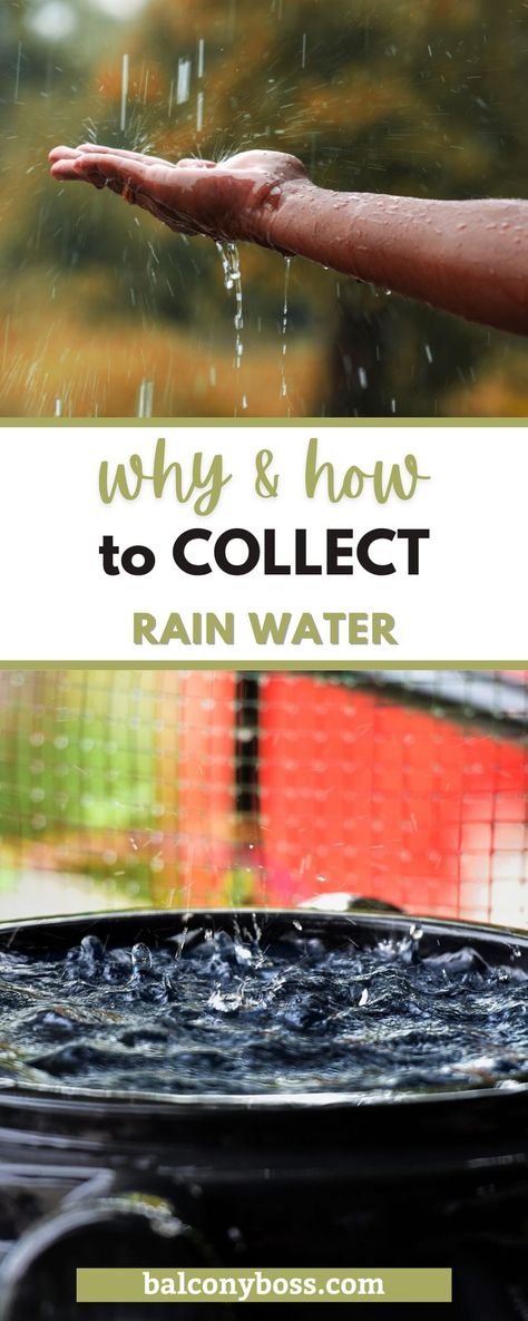 Learn why & how to collect rain water on your balcony in this informative post! There are various options for how to catch rain water depending on the size of your balcony and your current rain runoff system. You can even flush your toilet with it to be more eco-conscious! Learn about proper storage, considerations to take, and how much you need. Click through for all the details! How To Collect Rain Water, Balcony Hacks, Collect Rain Water, Balcony Diy, Collecting Rainwater, Balcony Storage, Collect Rainwater, Covered Balcony, Texas Ranch