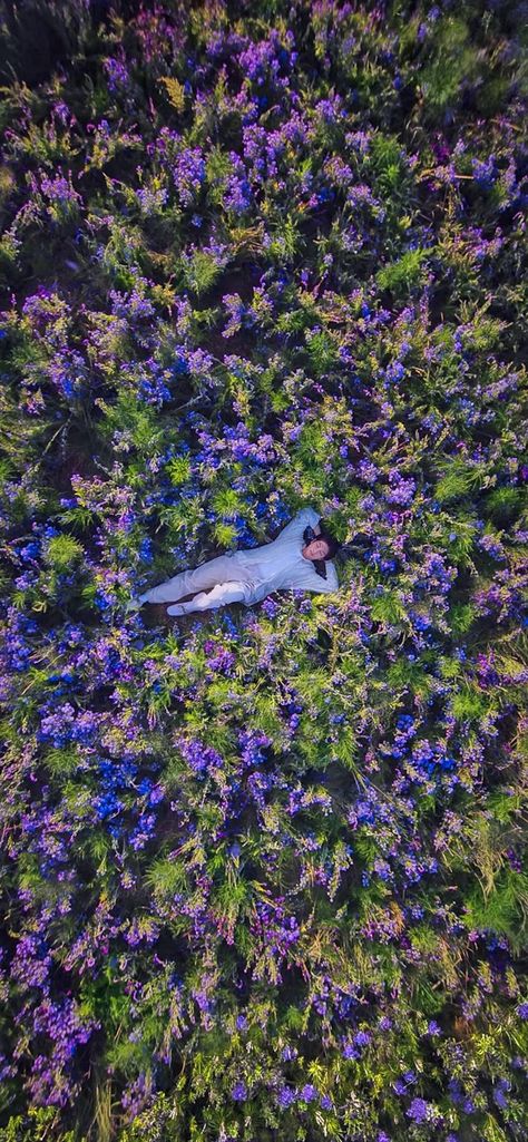 Namjoon Flower Aesthetic, Flower Desktop Wallpaper, Pc Desktop Wallpaper, Indigo Flower, Indigo Wallpaper, Dark Background Wallpaper, Bts Mv, Flower Landscape, Wild Flower