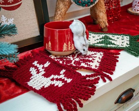 Holiday Mug Rugs Free Knit Pattern - Briana K Designs Mug Rugs Patterns, Mug Rugs Patterns Free, Coffee Crochet, Free Knit Pattern, Christmas Mug Rugs, Newborn Crochet Patterns, Mug Rug Patterns, Knit Rug, Holiday Knits