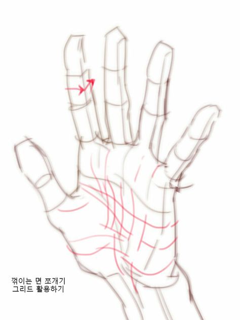 Anatomy Drawing Tips, Hand Tutorial, Hand References, Hand Anatomy, Hands Tutorial, Anatomy Tutorial, Human Anatomy Drawing, Hand Drawing Reference, Human Anatomy Art