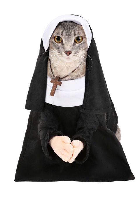 Halloween Costumes For Cats, Cute Cat Costumes, Dog Halloween Costume, Nun Costume, Animal Dress Up, Cat Halloween Costume, Cat Model, Cat Fashion, Cat Photography