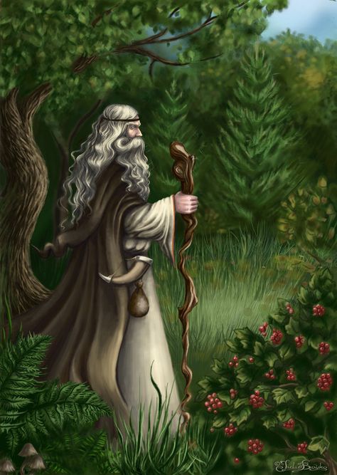 Magician by Araniart.deviantart.com Fantasy Wizard, Pagan Witch, Mystical Forest, Forest Spirit, Fantasy Male, Mystical Art, Enchanted Forest, Walking In Nature, Dark Art