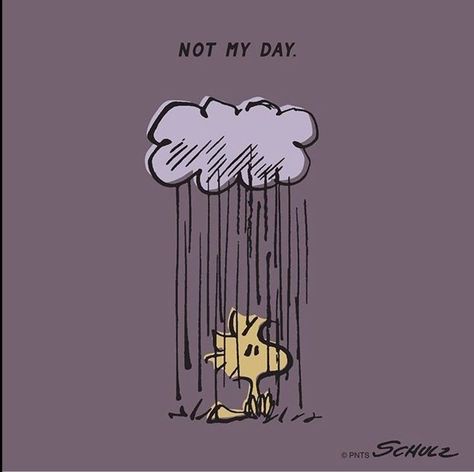 Snoopy Thinking, Snoopy Rain, Snoopy Funny, Snoopy Images, Peanuts Cartoon, Snoopy Wallpaper, Snoopy Quotes, Snoopy Pictures, Snoop Dog