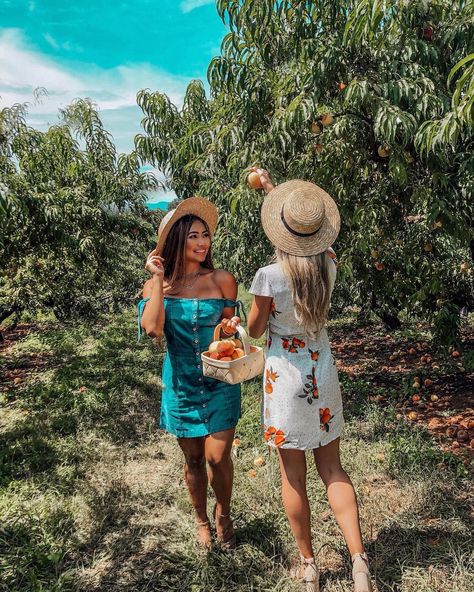 Sweet as a Georgia peach 🍑 #peachpicking #jaemorfarms #trippingwithmybff Peach Picking Outfit, Peaches Photoshoot, Madison Photoshoot, Peach Photoshoot, Fruit Harvesting, Peach Picking, Prom Pictures Group, Apple Picking Outfit, Prom Pictures Couples