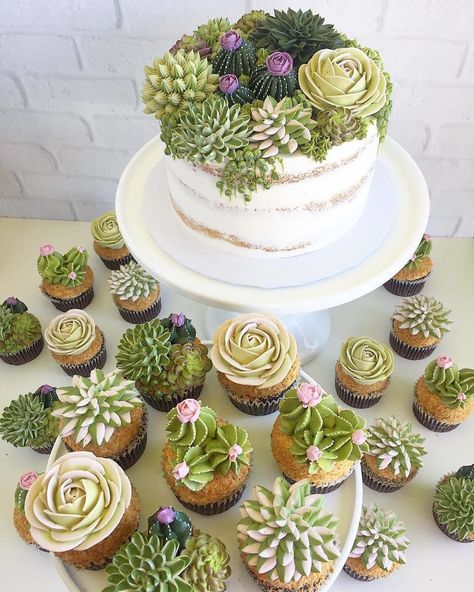 Nature Cake, Cheesecake Wedding Cake, Torte Creative, Succulent Cupcakes, Succulent Cake, Cactus Cake, Torte Cupcake, Magic Cake, Fancy Cakes