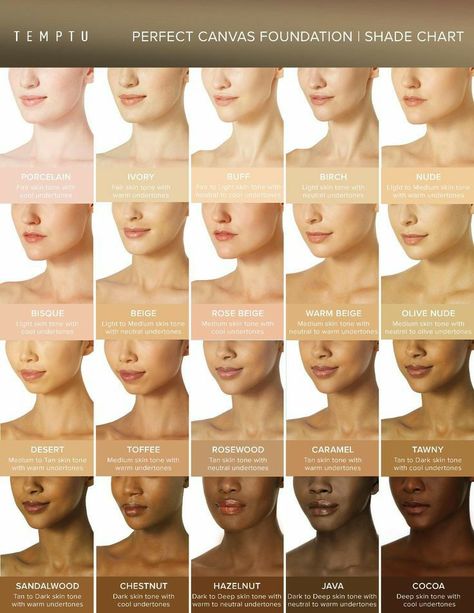 Skin Color Chart, Skin Tone Makeup, Airbrush Foundation, Foundation Shade, Skin Color Palette, Colors For Skin Tone, Foundation Makeup, Airbrush Makeup, Beauty Skin Care Routine