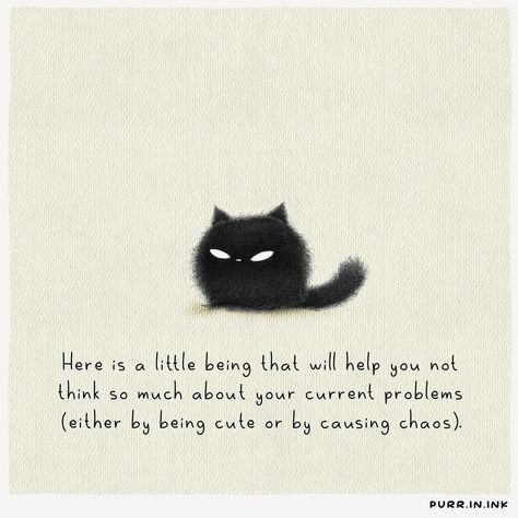 🐾🐾😽 Critter Drawing, Inspirational Animal Quotes, Cat Love Quotes, Cat Quote, Cat Attack, Cat Jokes, Cat Talk, Cat Quotes Funny, Cute Animal Drawings Kawaii