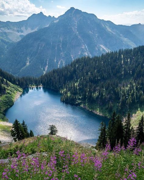 Magnet on Instagram: "The first day heading north from Snoqualmie Pass in Washington. Snoqualmie marks the halfway point through Washington, and the trail changes dramatically from this point. Lots of hiking through forests in the southern half, gives way to mostly walking above tree line in much steeper terrain in the northern half. This view was right along the trail and a pretty obvious photo. I certainly wasn’t the only one to take it." Best Hikes Washington State, Pacific Crest Trail Aesthetic, Washington State Hikes, Hiking The Pacific Crest Trail, Washington Hikes, Tree Line, Hiking Trail, The Trail, Wanderlust Travel