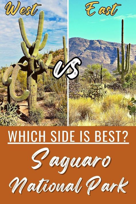 New Mexico Road Trip, Trip To Grand Canyon, Saguaro National Park, Arizona Vacation, Visit Arizona, Arizona Road Trip, Travel Route, National Parks Usa, Vegas Trip