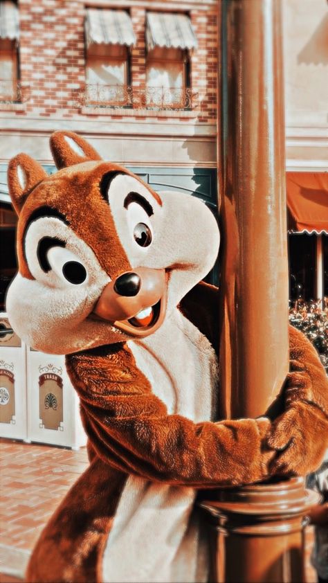 Disneyland Photography, Disney Best Friends, Disney World Pictures, Disney World Characters, Chip N Dale, Cute Disney Pictures, Disney Phone Wallpaper, Walt Disney World Vacations, Disney Photos