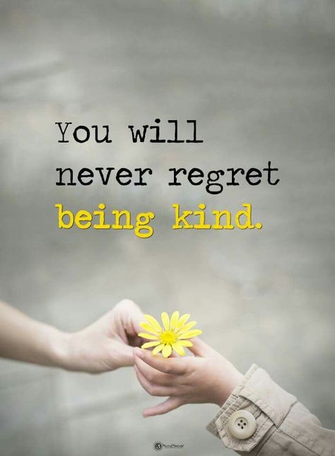 ‘You will never regret being kind.’ #quotes #quote #kindneS A Course In Miracles, Never Regret, Kindness Quotes, Intj, Quotes For Kids, Morning Quotes, Beautiful Quotes, Meaningful Quotes, Great Quotes