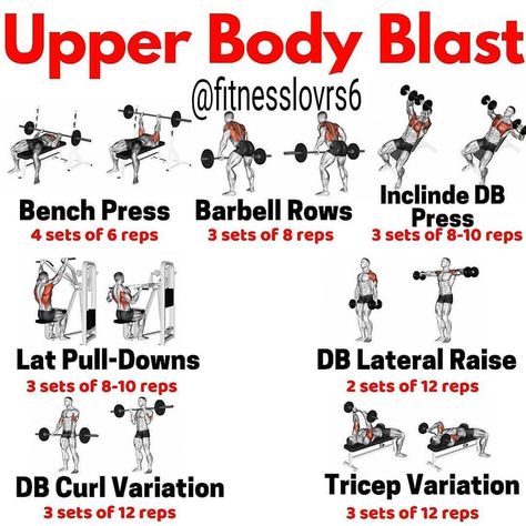 Upper Body Workout At Gym, Upper Body Workout Gym, Fitness Education, Workout At Gym, Full Body Workout Plan, Barbell Row, Best Workout Routine, Upper Body Workouts, Workouts For Men