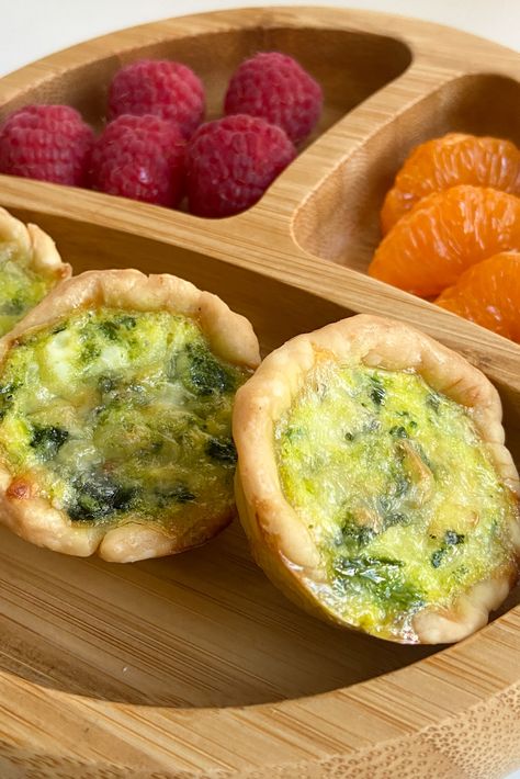 Mini Quiche Menu For Toddlers Meal Ideas, One Year Old Daycare Lunch, Meals For 2 Year Baby, 1 Year Meal Ideas, Freezer Meals For Toddlers, Lunch Ideas For 10 Month Old Baby, 9 Month Breakfast Ideas, Lunch Ideas For Toddlers At Home, Lunch Recipes For Toddlers