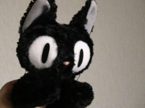 My Jiji plush toy (from Kiki's delivery service) Jiji Plush, Studio Ghibli Plush, Soul Aesthetic, Service Cat, Kiki's Delivery Service, Cat Plush, Cute Stuffed Animals, Delivery Service, Studio Ghibli