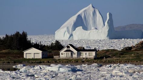 The real deal: Twillingate shutterbug says viral iceberg snap not Photoshopped | CBC News Newfoundland Travel, Canon 60d, Labrador Canada, Newfoundland Canada, Landscape Photography Nature, Newfoundland And Labrador, Prince Edward Island, Quebec Canada, June 15