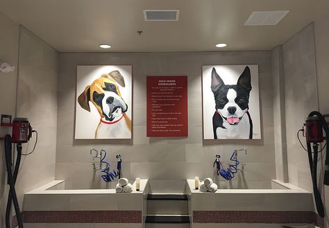 Pet Shop Design Interior Ideas, Dog Grooming Salon Ideas Design, Small Dog Grooming Salon Ideas, Pet Grooming Salon Ideas Design, Petshop Design Pet Store, Groomer Salon, Dog Grooming Salon Ideas, Pet Hotel Design, Dog Grooming Salon Decor