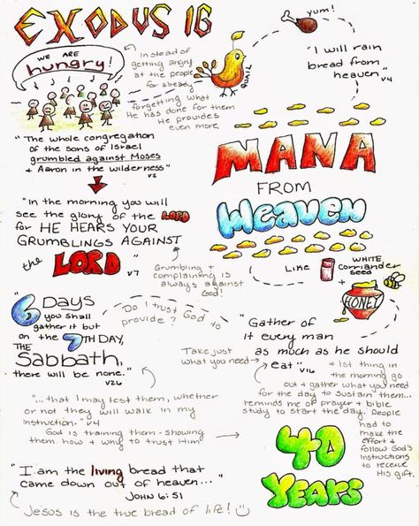 Exodus Chapter 16 - Manna and Quail Bible Study Exodus, Doodle Bible, Exodus Bible, Lord's Supper, Bible Search, Good Morning Girls, Bible Mapping, Bible Journaling Ideas Drawings, Bible Doodling