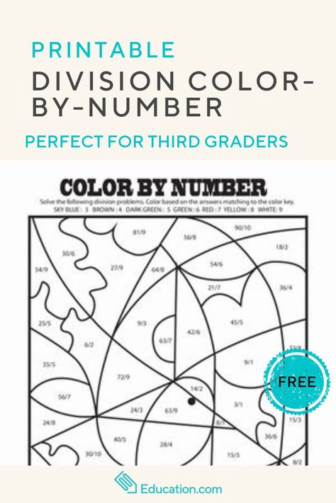 Challenge your third grader with some basic division problems and then use his answers to complete a color-by-number division masterpiece. #mathworksheets #mathfacts #freeprintables #division #educationdotcom Division Problems, Division Activities, Division Worksheets, Common Core Kindergarten, Math Practice, Elementary Activities, Kids Math Worksheets, Free Teaching Resources, Multiplication Facts