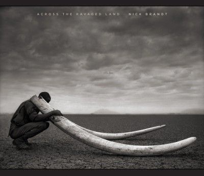 Across the Ravaged Land Nick Brandt, Edward Curtis, Dark Visions, Wildlife Protection, Animal Attack, Africa Wildlife, Alfred Stieglitz, Photo Series, Wildlife Photography