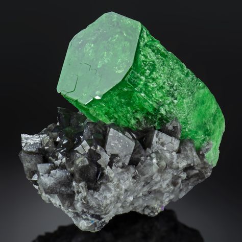 Emerald on Calcite: Muzo Columbia Minerals Crystals Stones, Emerald Bracelet, Pretty Rocks, The Emperor, Diamond Quartz, May Birthstone, Green Gems, Mineral Stone, Minerals And Gemstones