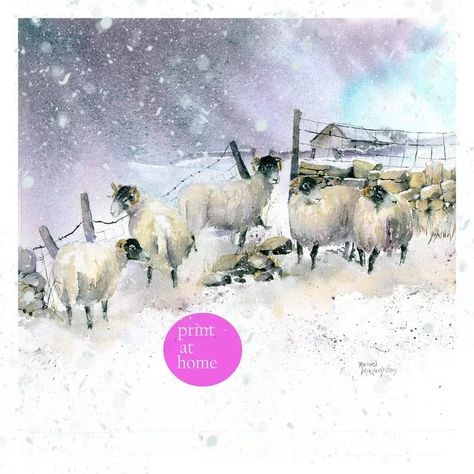 Print at home art Snow on the Hills watercolour painting image 1 Sheep Paintings, Sheep Art, Advocate Art, Cow Art, Watercolour Art, Painting Lessons, Art Licensing, Art Club, Watercolor Animals