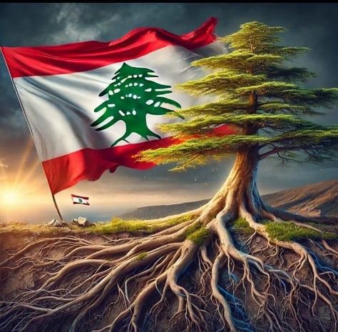 Lebanese Americans Official | Lebanon routs are strong and our green cedar will not be removed. Keep our flag high and proud. #MyLebanon #AmazingLebanon… | Instagram Lebanon Art, Lebanese Flag, Lebanon Flag, Draw On Photos, Lebanon, Flag, Green, Quick Saves, Instagram