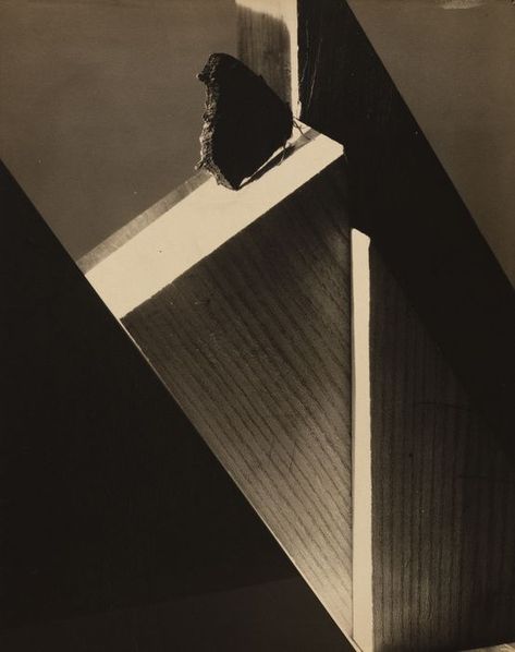 Edward Steichen. Diagram of Doom Number 2. c. 1922 | MoMA Steichen Photography, Edward Steichen, New York Photography, Creative Photoshoot Ideas, History Of Photography, Aesthetic Movement, Famous Photographers, Botanical Beauty, Great Photographers