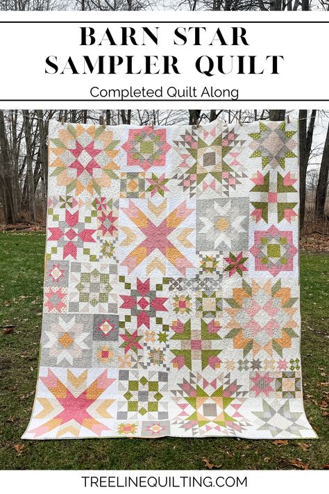 🌟 Dive into the enchanting world of Barn Star Sampler Quilt Book and follow my exciting quilting journey 🌟. Discover my completed quilt along, the beauty of scrappy binding, and much more. Ready to be a part of the adventure? 😊 More details on the blog! Star Sampler Quilt, Scrappy Binding, Quilt Design Wall, Quilt Book, Quilt Blocks Easy, Lap Quilt Patterns, Spring Chicken, Quilt Sewing Patterns, Sampler Quilts