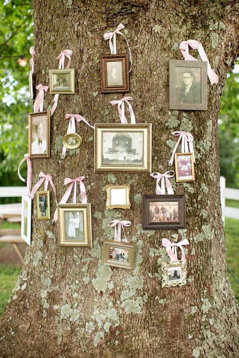 Family tree - Rustic Chic Maryland Farmhouse Wedding by Karson Butler Events (Planner) + Katelyn James Photography Maryland Farmhouse, Farmhouse Chic Wedding, Wedding Photo Display, Wedding Farm, Tie The Knot Wedding, Events Planner, Rustic Wedding Decorations, Katelyn James, Farmhouse Wedding