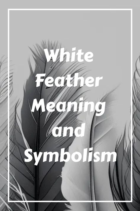 For many individuals, acquiring a white feather is an unmistakable sign from something greater – whether it may be God, angels, spirit guides, deceased relatives, or friends – igniting our curiosity about its meaning. White feathers often appear when we are most open to experiencing grace and love within our lives. This blog post will explore the powerful meaning hidden behind these awe-inspiring gifts from Heaven. Grey Feather Meaning, Black Feather Meaning, White Feather Meaning, God Angels, Feather Signs, Feather Symbolism, Feather Meaning, Inspiring Gifts, White Raven