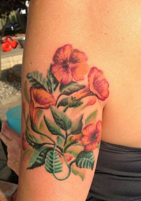 Part one! Trumpet vine! Trumpet Vine Tattoo, Trumpet Flower Tattoo, Tattoo Hummingbird, Trumpet Flowers, Vine Tattoo, Trumpet Flower, Trumpet Vine, Vine Tattoos, Hummingbird Tattoo