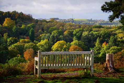 Gary Reed on Instagram: “More Autumn views at the Lickey Hills with the @lickey_hills_golf_course surrounded by the changing colours. #lickeyhills…” Lickey Hills, Wedding Ceremonies, Elopement Wedding, Green Space, Elope Wedding, Golf Course, Outdoor Wedding, Elopement, Wedding Ceremony