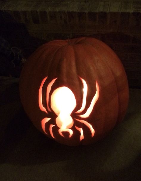 Spider Pumpkin Carving, Spider Pumpkin, Carved Pumpkins, Pumpkin Spider, Pumpkin Carving, Pumpkins, Halloween Costumes, Carving, Holidays