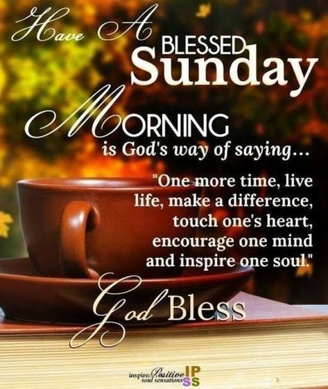 Top 50+ Awesome Sunday Images And Quotes Sunday Morning Inspirational Quotes, Blessed Sunday Morning, Blessed Sunday Quotes, A Blessed Sunday, Sunday Prayer, Sunday Morning Quotes, Happy Sunday Morning, Sunday Quotes Funny, Sunday Greetings