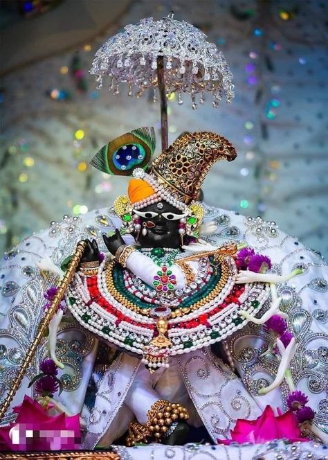 Jay Aesthetic, Iskcon Vrindavan, Radha Raman, Headband Flowers, Ribbon Bag, Radhe Krishna Wallpapers, Shree Krishna Wallpapers, Krishna Book, Lord Krishna Hd Wallpaper