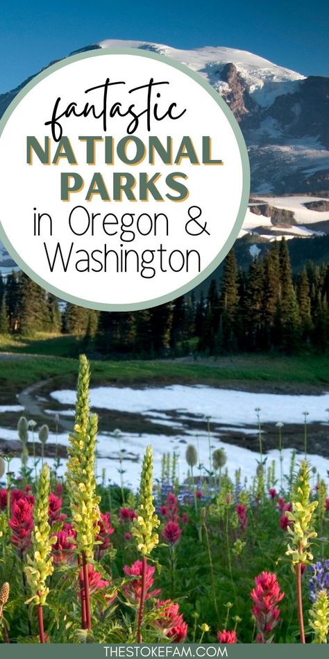 Looking for National Parks in Oregon and Washington? Whether you're planning an epic Pacific Northwest roadtrip or heading out to visit Crater Lake, find out which ones are must-see destinations to add to your bucket list here! National Park Road Trips, National Parks Road Trip, Best National Parks, Cascade National Park, Adventure Tourism, San Juan Island, Vacation Activities, North Cascades National Park, Travel Bucket List Usa