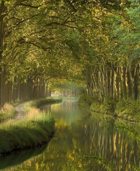 Canal du Midi in the Morning - A tranquil morning scene at the historic Canal du Midi. #CanalDuMidi #MorningScenery Canal Du Midi, Farm Business, Business Ideas, In The Morning, The Morning, Paris, France, Green, Beauty