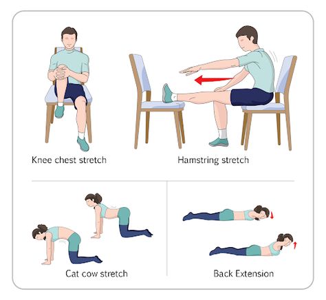 Bulged Disc Stretches, Spondylosis Exercises, Degenerative Disk In Lower Back, Exercises To Help Herniated Discs, Slipped Disk Stretches, Stretches For Degenerative Discs, Degenerative Disk In Lower Back Exercises, Disk Degenerative Disease Exercises, Yoga For Herniated Lumbar Disc